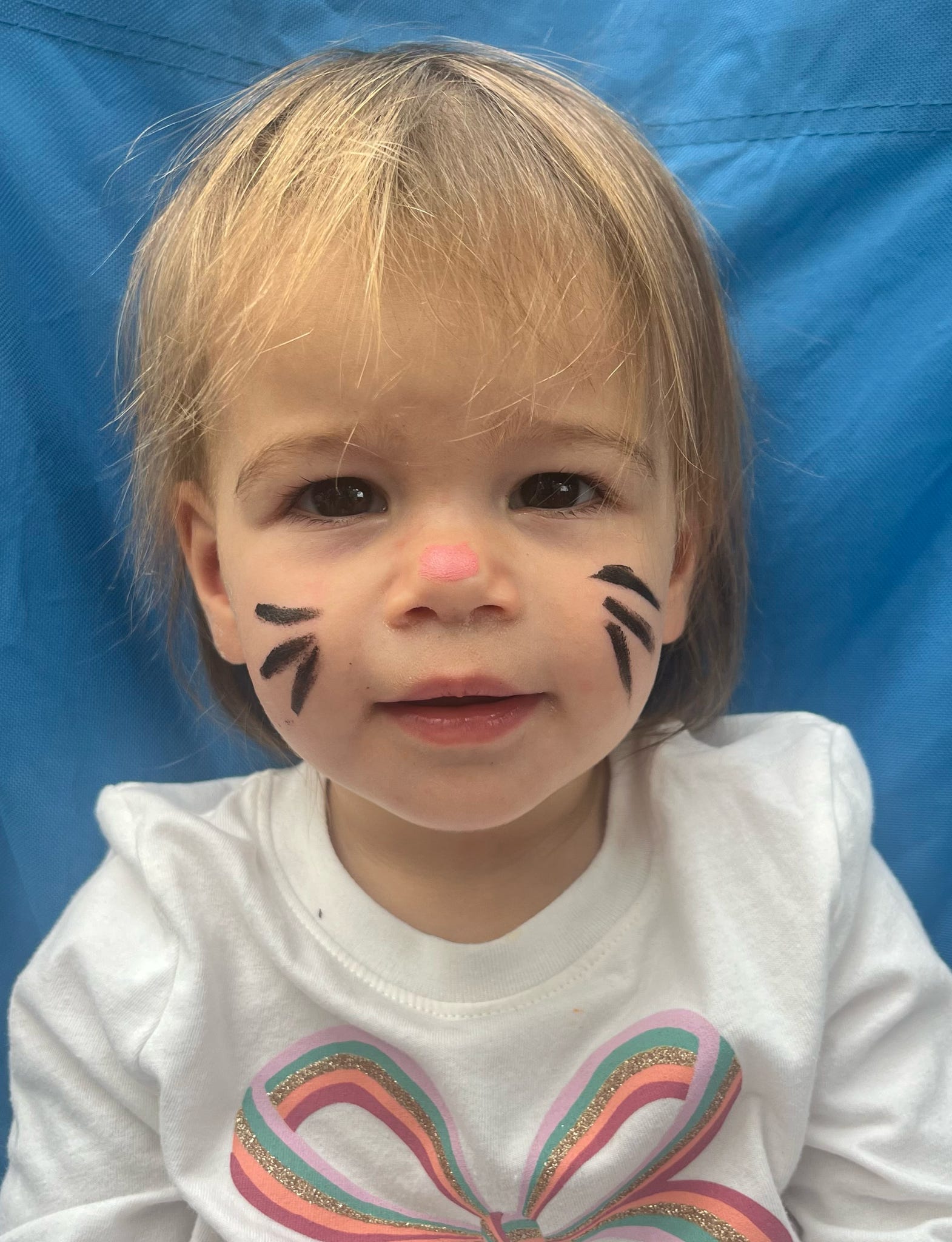 Whitpain Community Festival event