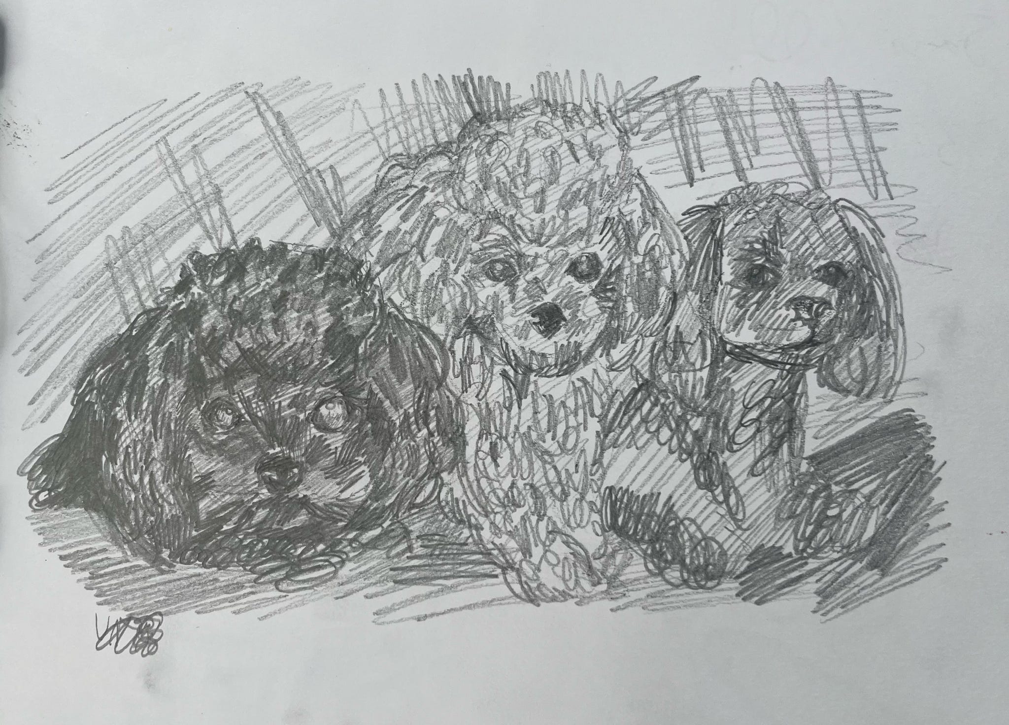 Whitpain Community Festival event